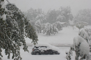 Fluctuating temperatures spell trouble for South Dakota ranchers