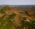 brown southern black hills