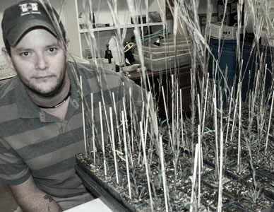 Jacob Alsdurf tests the genetic structure of the plant Boechera stricta. 