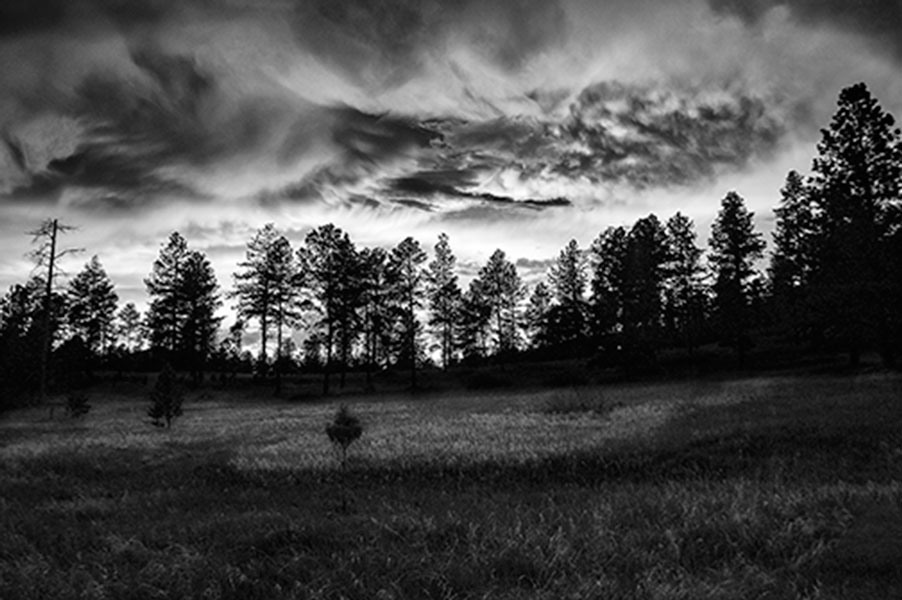 Outdoor Week 2013 Photography Contest