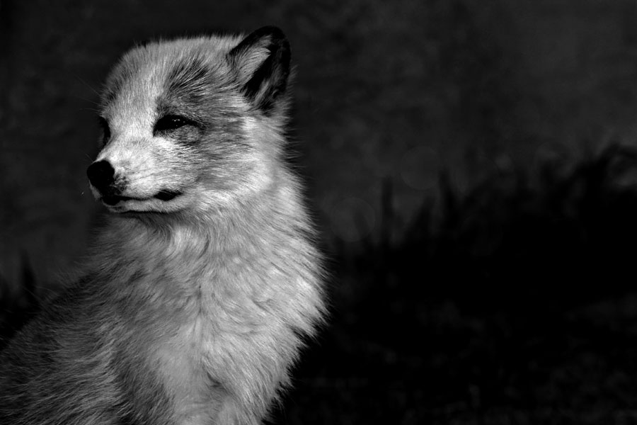 Outdoor Week 2013 Photography Contest