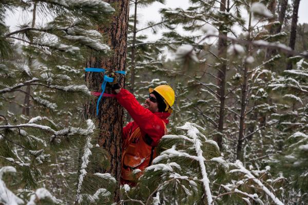 Photo from A Day In The Life Of Spearfish project