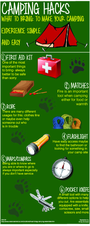 Camping infographic