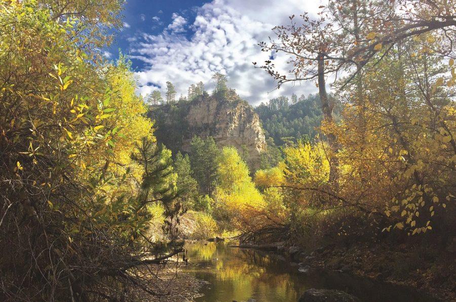 Fall Foliage Takes Over Spearfish Canyon