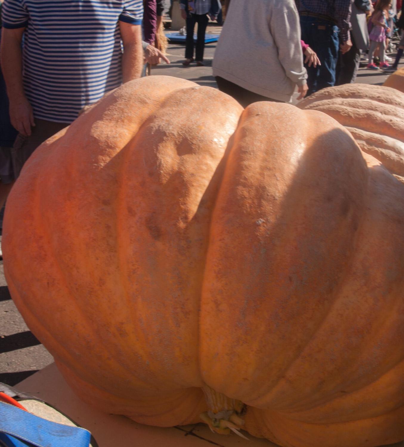 Fall Festivities Take Place in Black Hills