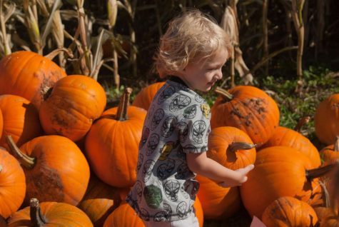 Jasper Geibel of Rapid City, S.D. enjoying the pumpkin pile at Spearfish Corn Maze and Pumpkin Patch