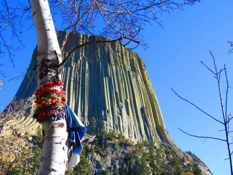 A Native American prayer cloth hugs a tree close to the base of Devil’s Tower
