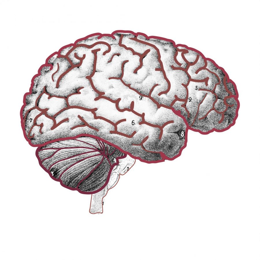 Taylor-Rowell-Brain