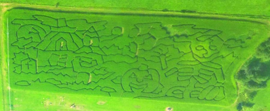 An aerial view of the corn maze displays this year’s design. Every year, the Spearfish Corn Maze and Pumpkin Patch redesigns the corn maze pattern. photo retrieved the Spearfish Corn Maze and Pumpkin Patch Facebook page