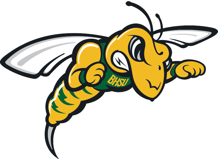 Top+10+Activities+for+BHSU+students+and+visitors