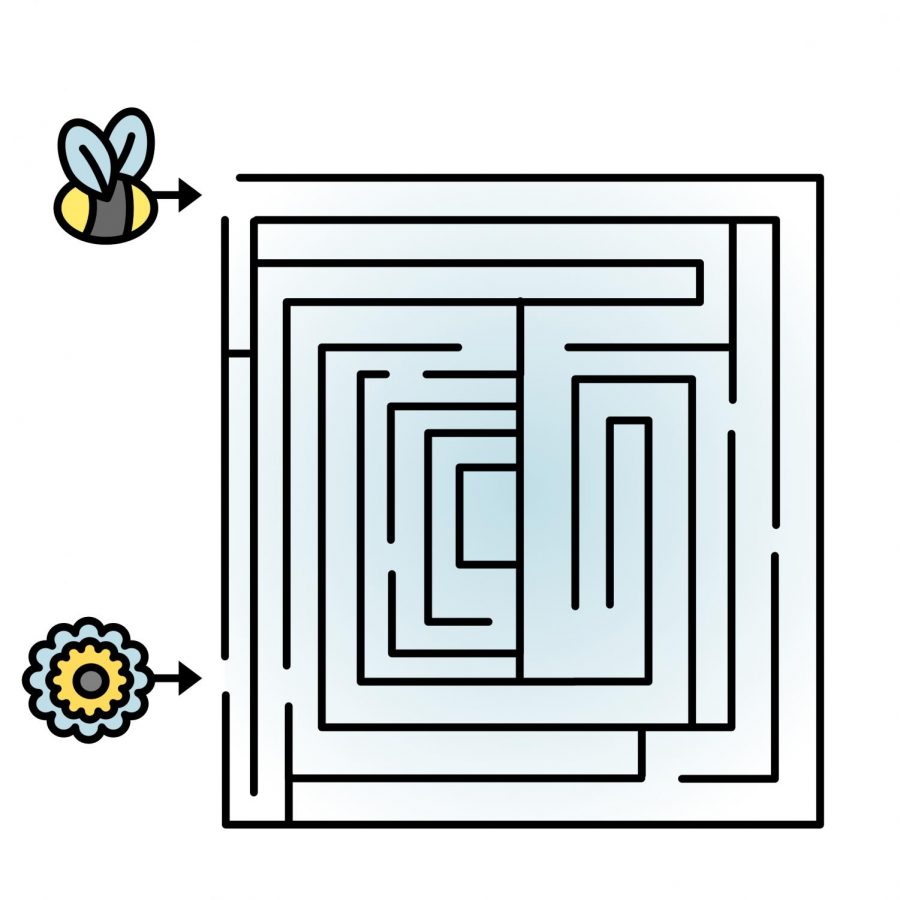 BeeMaze