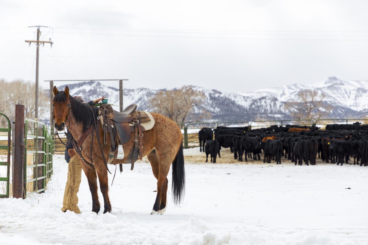 Pitchfork Ranch