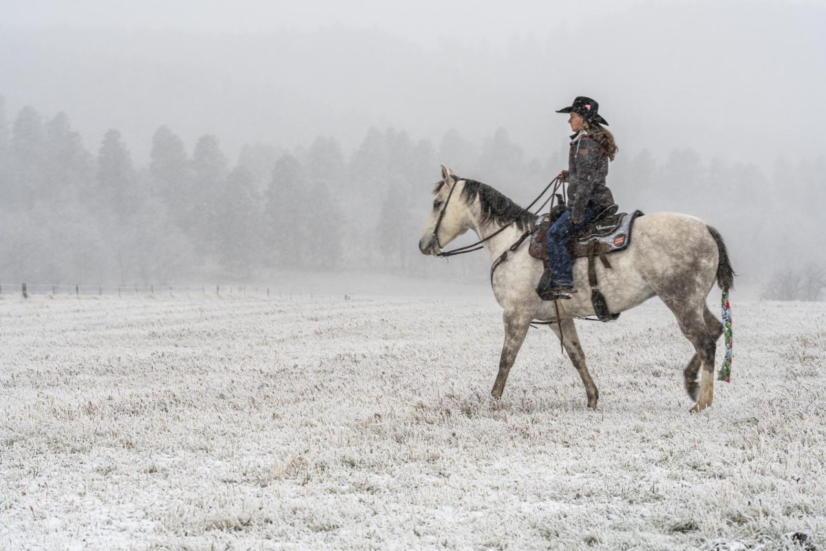 Roping, Riding, Repeat
