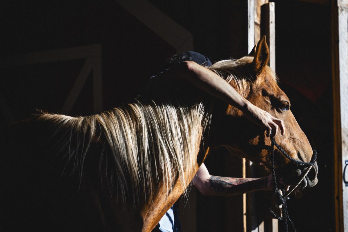 Catlin Clifford prepares his horse for a ride at his family ranch just outside of the Badlands of South Dakota. 